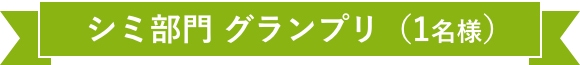 シミ部門 グランプリ