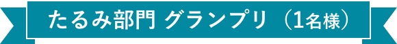 たるみ部門 グランプリ